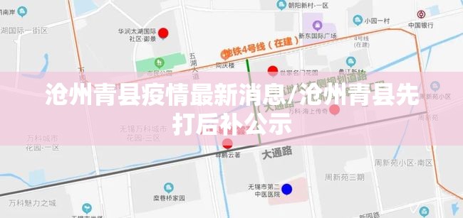 沧州青县疫情最新消息/沧州青县先打后补公示
