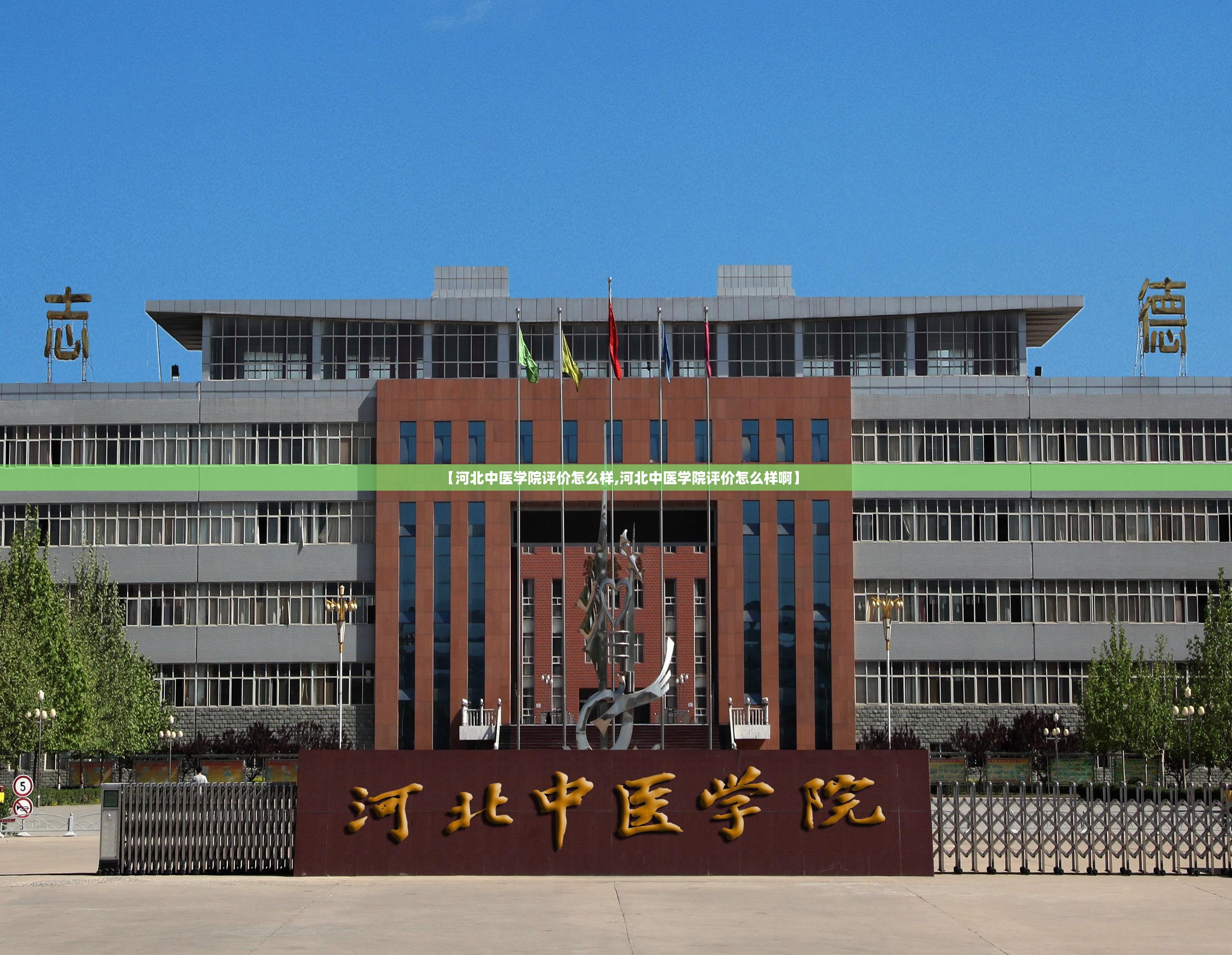 【河北中医学院评价怎么样,河北中医学院评价怎么样啊】