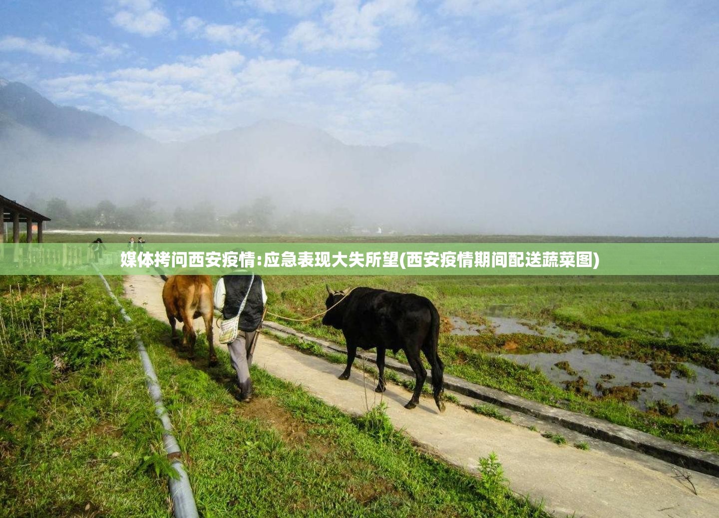 媒体拷问西安疫情:应急表现大失所望(西安疫情期间配送蔬菜图)