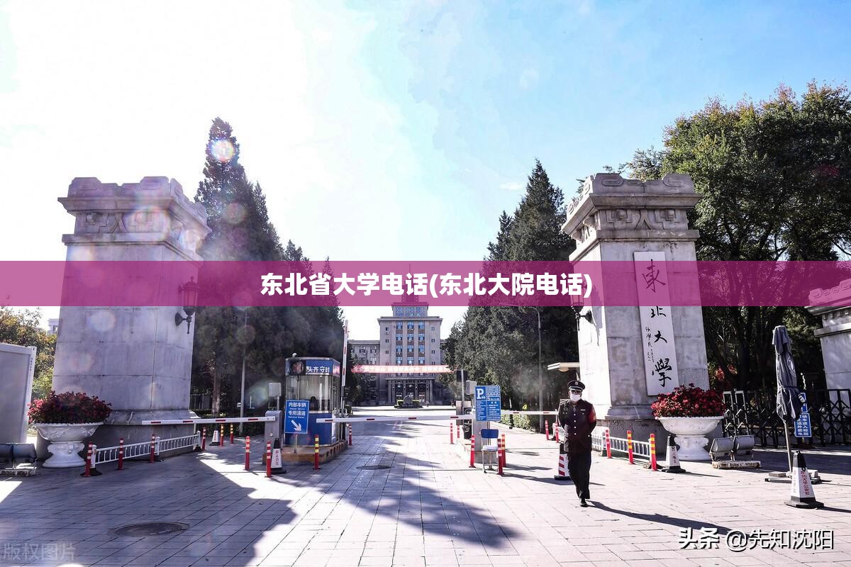 东北省大学电话(东北大院电话)