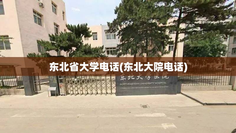 东北省大学电话(东北大院电话)