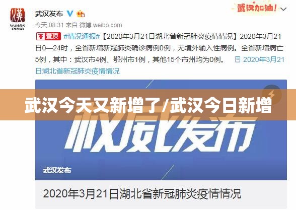 武汉今天又新增了/武汉今日新增 武汉今天又新增了/武汉今日新增