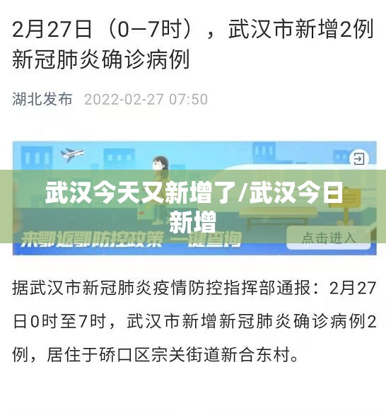 武汉今天又新增了/武汉今日新增