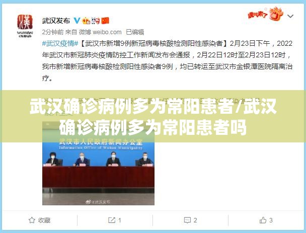 武汉确诊病例多为常阳患者/武汉确诊病例多为常阳患者吗
