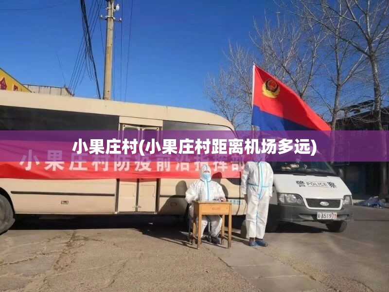小果庄村(小果庄村距离机场多远)