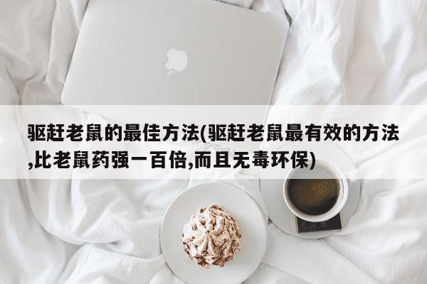 驱赶老鼠的最佳方法(驱赶老鼠最有效的方法,比老鼠药强一百倍,而且无毒环保)