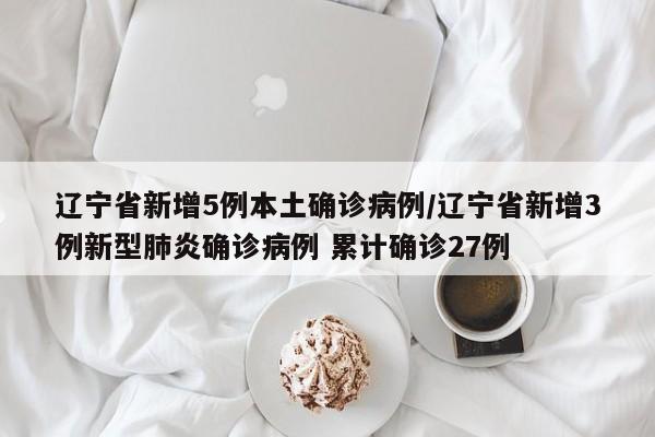 辽宁省新增5例本土确诊病例/辽宁省新增3例新型肺炎确诊病例 累计确诊27例