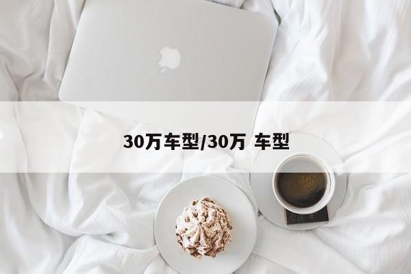30万车型/30万 车型