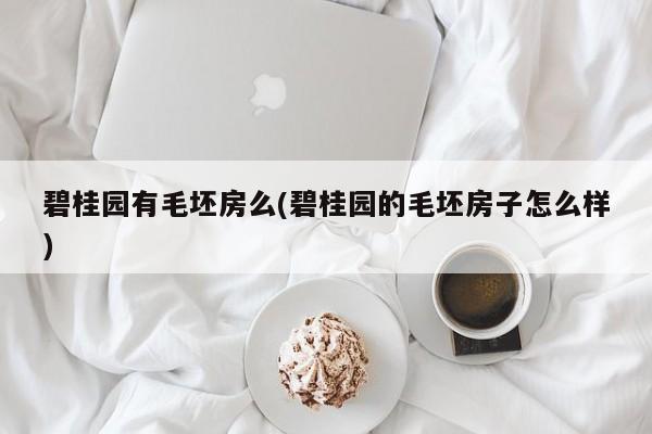 碧桂园有毛坯房么(碧桂园的毛坯房子怎么样)