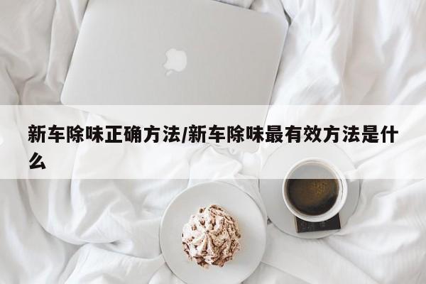 新车除味正确方法/新车除味最有效方法是什么
