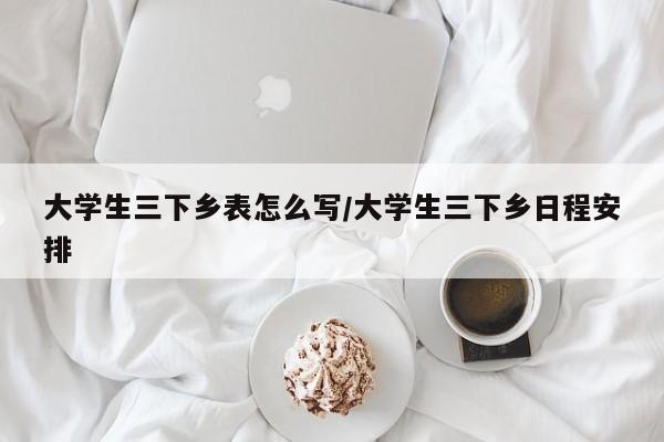 大学生三下乡表怎么写/大学生三下乡日程安排