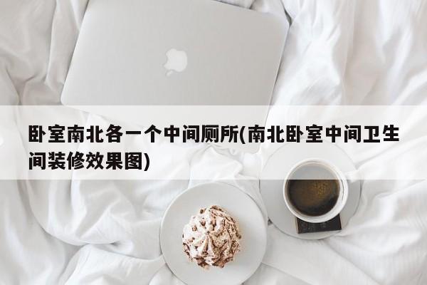 卧室南北各一个中间厕所(南北卧室中间卫生间装修效果图)