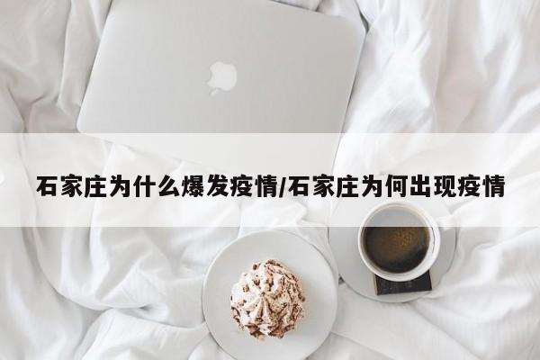 石家庄为什么爆发疫情/石家庄为何出现疫情