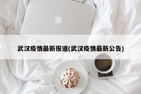 武汉疫情最新报道(武汉疫情最新公告)