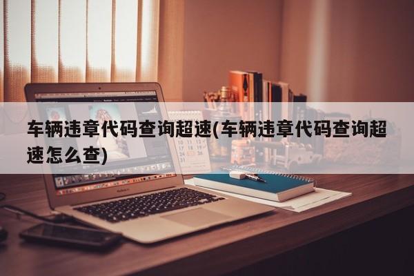 车辆违章代码查询超速(车辆违章代码查询超速怎么查)