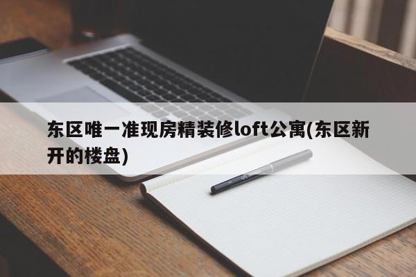 东区唯一准现房精装修loft公寓(东区新开的楼盘)