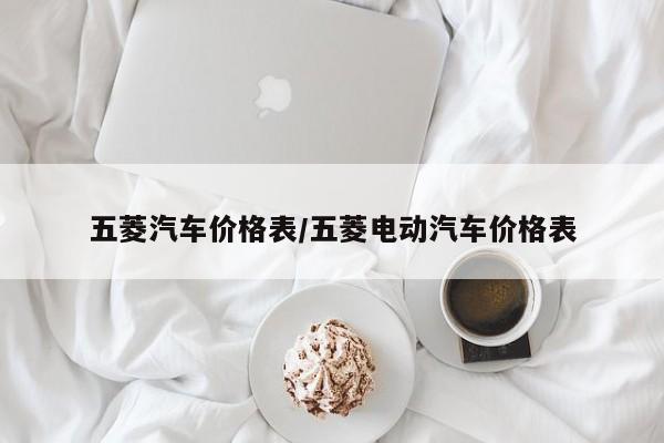 五菱汽车价格表/五菱电动汽车价格表