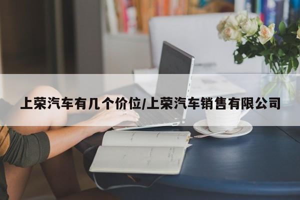 上荣汽车有几个价位/上荣汽车销售有限公司
