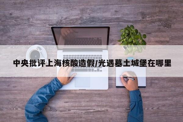 中央批评上海核酸造假/光遇墓土城堡在哪里