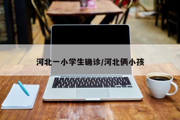 河北一小学生确诊/河北俩小孩