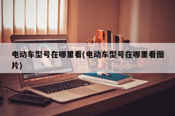 电动车型号在哪里看(电动车型号在哪里看图片)