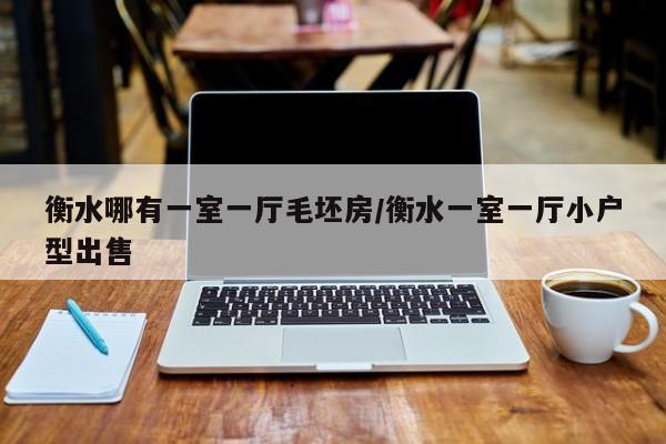 衡水哪有一室一厅毛坯房/衡水一室一厅小户型出售