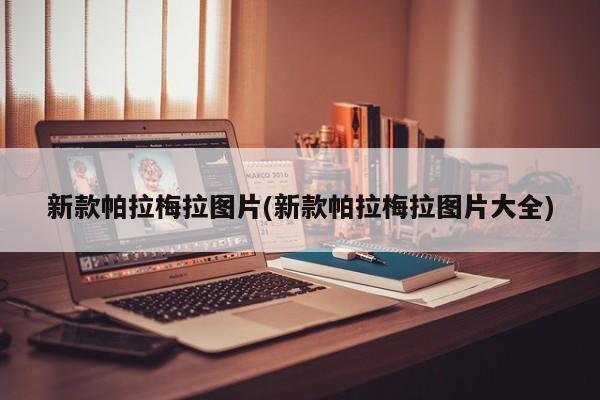 新款帕拉梅拉图片(新款帕拉梅拉图片大全)