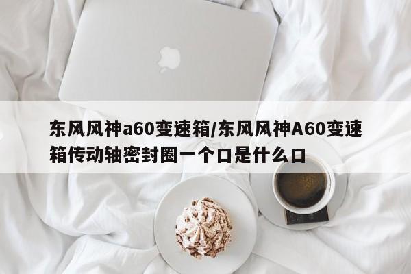 东风风神a60变速箱/东风风神A60变速箱传动轴密封圈一个口是什么口