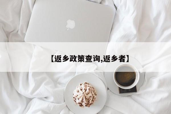 【返乡政策查询,返乡者】