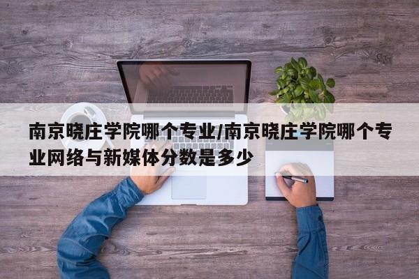 南京晓庄学院哪个专业/南京晓庄学院哪个专业网络与新媒体分数是多少