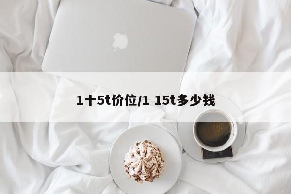 1十5t价位/1 15t多少钱