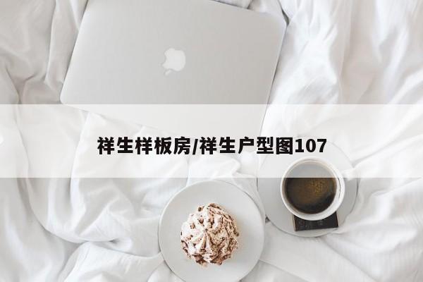祥生样板房/祥生户型图107