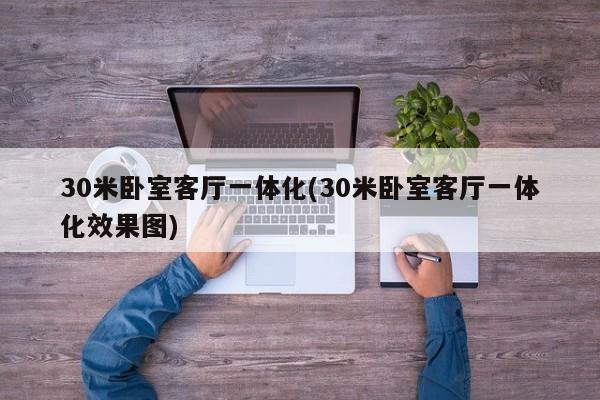 30米卧室客厅一体化(30米卧室客厅一体化效果图)