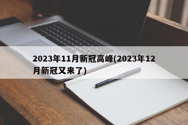 2023年11月新冠高峰(2023年12月新冠又来了)