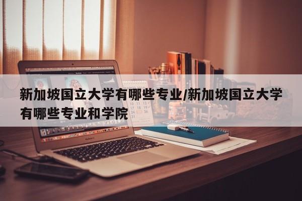 新加坡国立大学有哪些专业/新加坡国立大学有哪些专业和学院