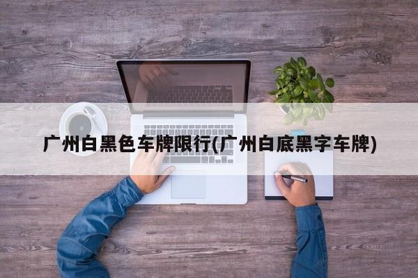 广州白黑色车牌限行(广州白底黑字车牌)