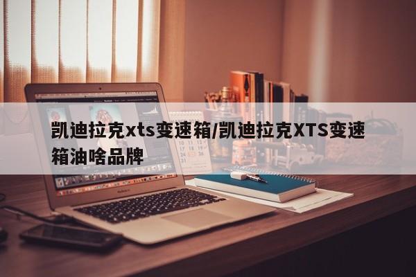 凯迪拉克xts变速箱/凯迪拉克XTS变速箱油啥品牌