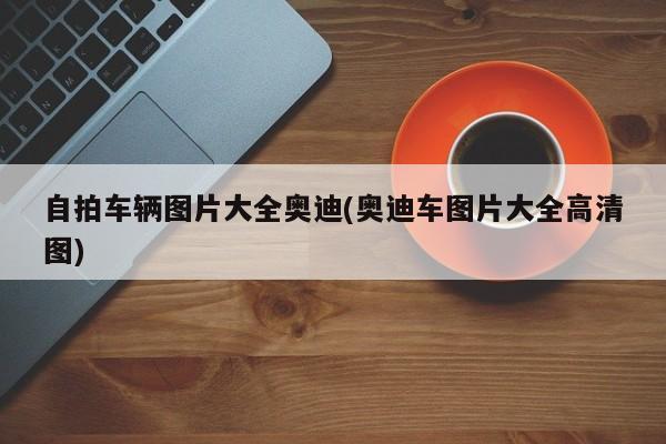 自拍车辆图片大全奥迪(奥迪车图片大全高清图)
